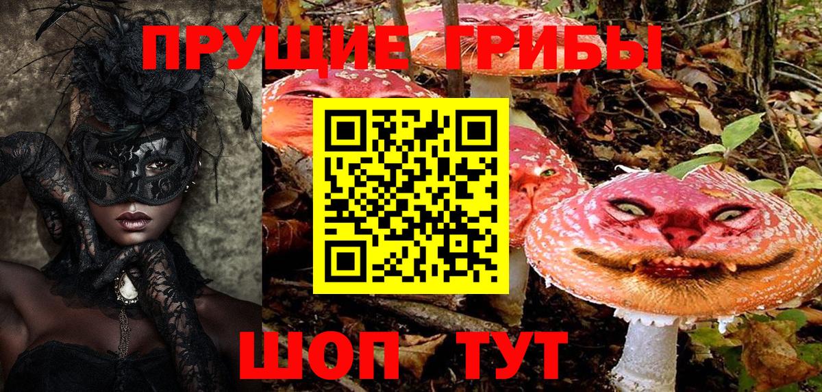 Заречный  Псилоцибиновые грибы мицелий  Вход с VPN 